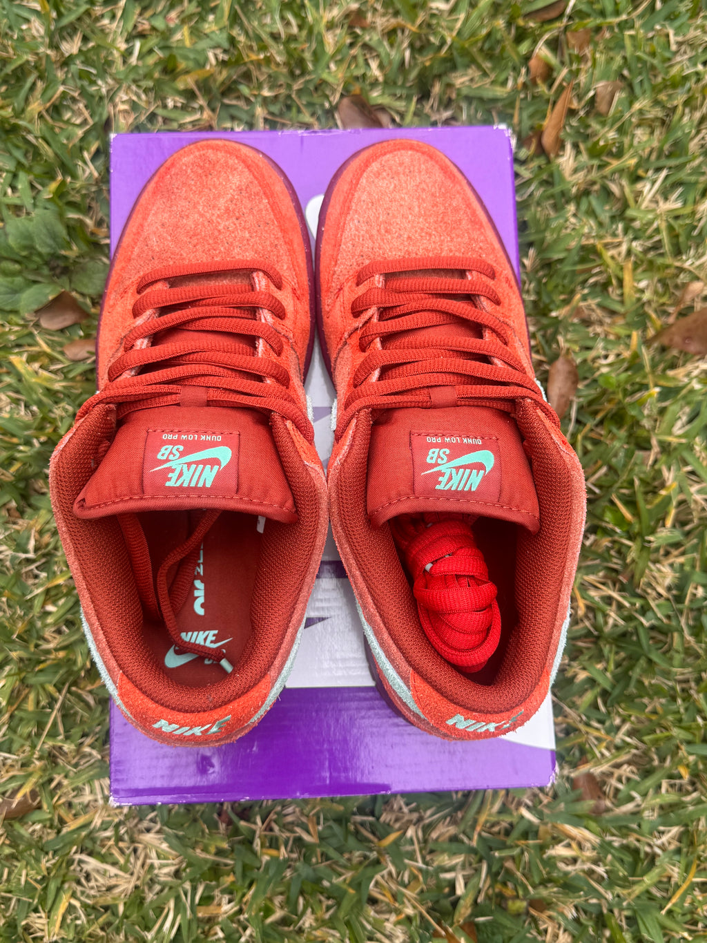 Nike SB Dunk Low “Mystic Red / Rosewood” — CLEAN COLOR 🔥